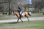 Tweseldown - 3 Phase Training (XC) 31-03-25 portfolio