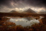 Flooded Reflections