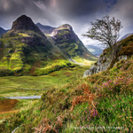 NEW! PS163 Glencoe Rowan