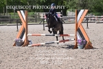 BPP_7152