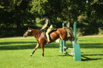 SBM_36426