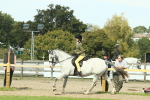 SBM_67551