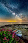 z3649 Summer Valerian under the Milky Way at Niton