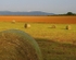 Haybails in afternoon sun