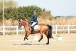 SBM_017309