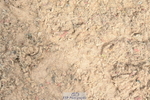 230422A-124541-05876