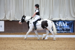 SBM_000036