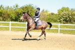 SBM_000733