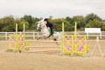 SBM_008659