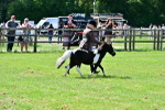 SBM_03667