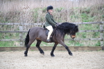 SBM_006322