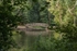 Cannop Footbridge Reflections