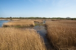 20110409-IMG_1510