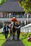 170524-Race 7-Jubilee Walk-8796