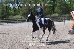 BPP_7168
