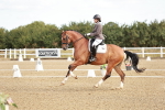 SBM_008618