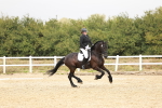 SBM_001908