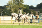 SBM_62485