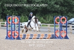 BPP_8254
