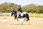 SBM_007951