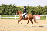 SBM_002775
