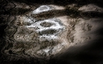 Submerged_RLP0087