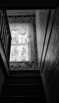 THE BACK STAIRS - NEWTOWN