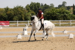 SBM_003501