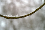 Snow - 21