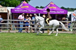 SBM_06067