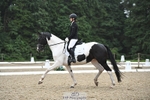 123-Michelle_Wallis-Alvescot_Winning_Mood portfolio