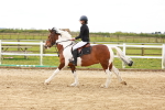 SBM_004061