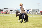 SBM_01920