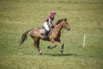 BVHT 140517  IXC -134