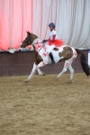 SBM_003864