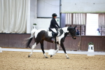 SBM_000219