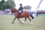 SBM_11081