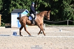 Cls 4 Novice 39Q portfolio
