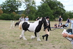 WJ6_5722