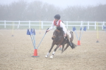 SBM_001016