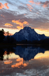 Oxbow Beauty