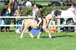 SBM_50333