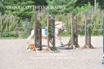 BPP_9736