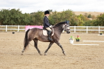 SBM_009870