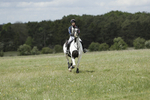 BVHT 140517  NXC -38