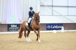 SBM_007782