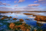 East Head Lagoon