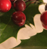 12  Frosted Holly