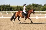 SBM_006958