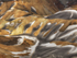 Landmannalaugar aerial study #2